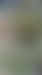 Scrumptious Squash Soup