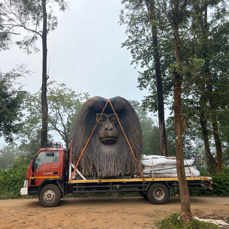 Lantana and Senna invading urban spaces?