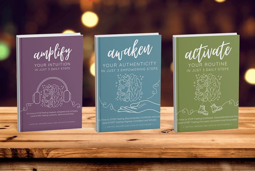 Workbooks Trio.png