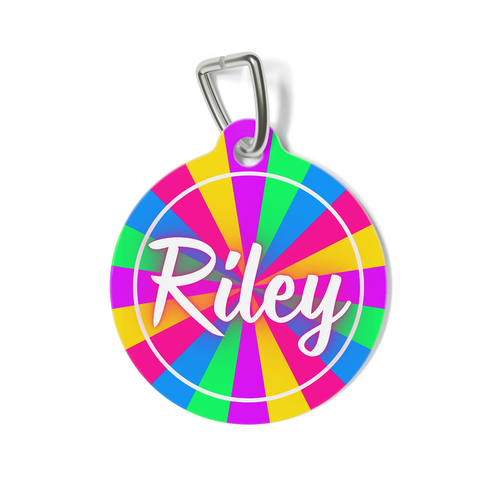 Sunburst Neon Pet Tag