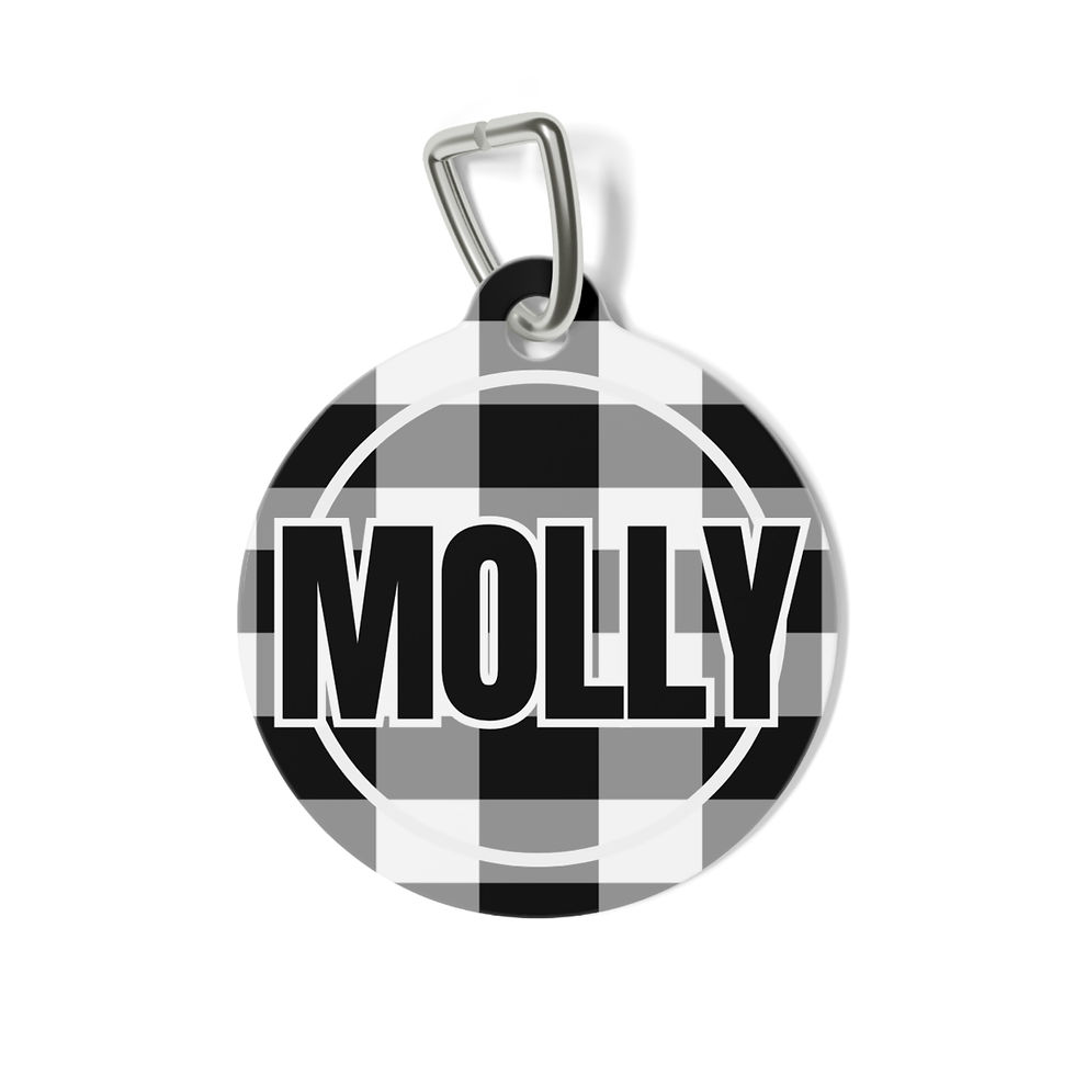 Check Me Out Pet Tag