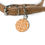 Thumbnail: Pumpkin Picnic Pet Tag