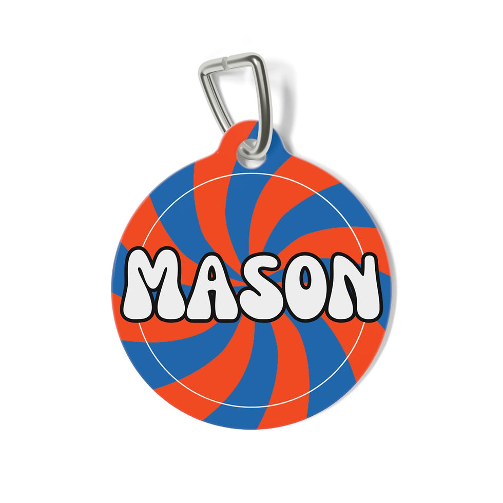 Zoomie Zone Pet Tag