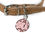 Thumbnail: Strawberry Checks Pet Tag