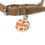 Thumbnail: Pumpkin Patch Pet Tag