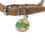 Thumbnail: Rainbow Zoomies Pet Tag