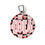 Thumbnail: Strawberry Checks Pet Tag