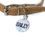 Thumbnail: Pawfectly Popped Pet Tag