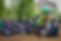 SCI_Sinai volunteer_group_small.png
