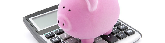 Einsparungen berechnen