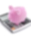 Calculate Savings