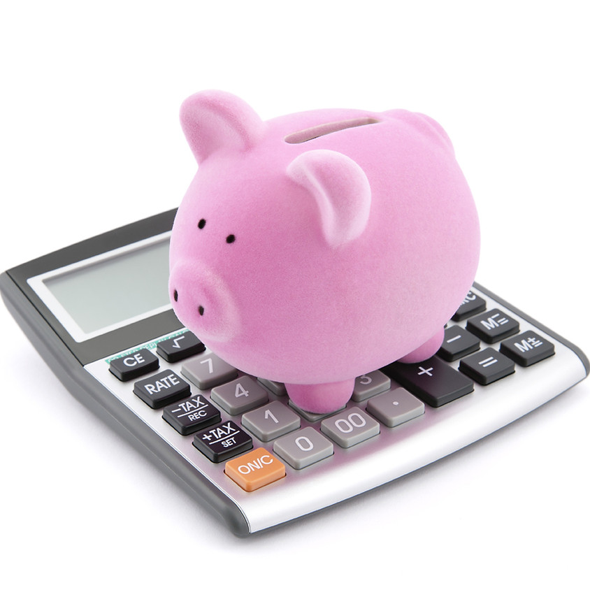 Leader Finance Report Support Virtual Meeting