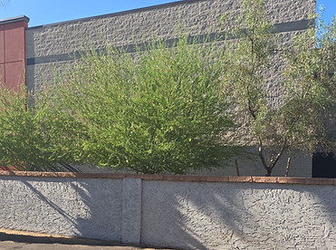 Website Pic for Mngt trust.jpg