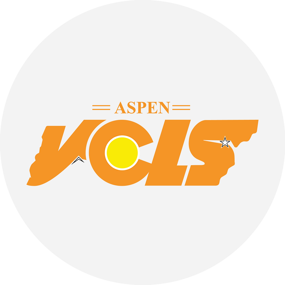 Thumbnail: Denver Vols Sticker