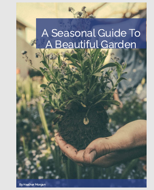 A Seasonal Guide To A Beautiful Garden