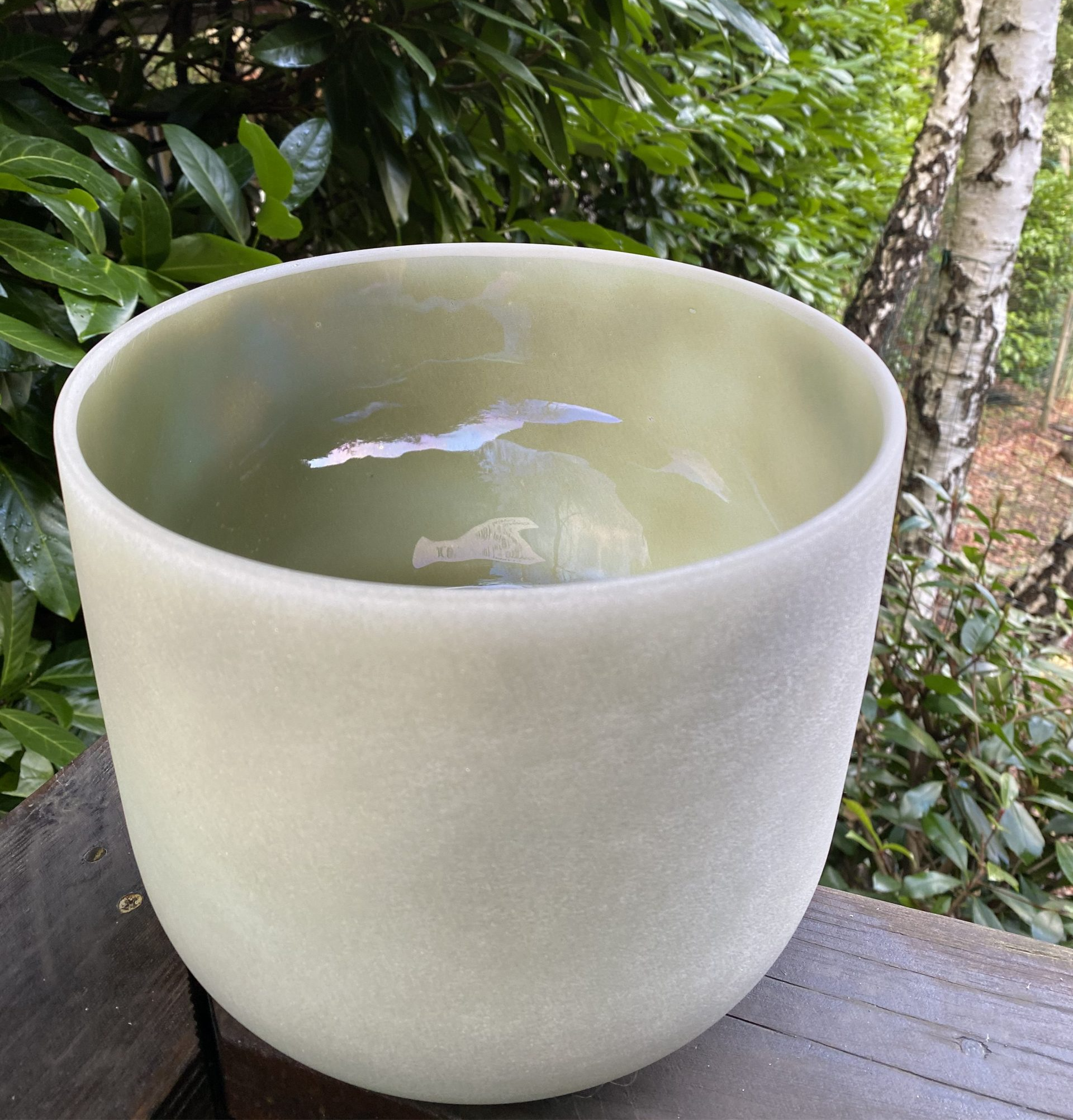 Sage Forest Classic Alchemy Bowl (16" | G#)