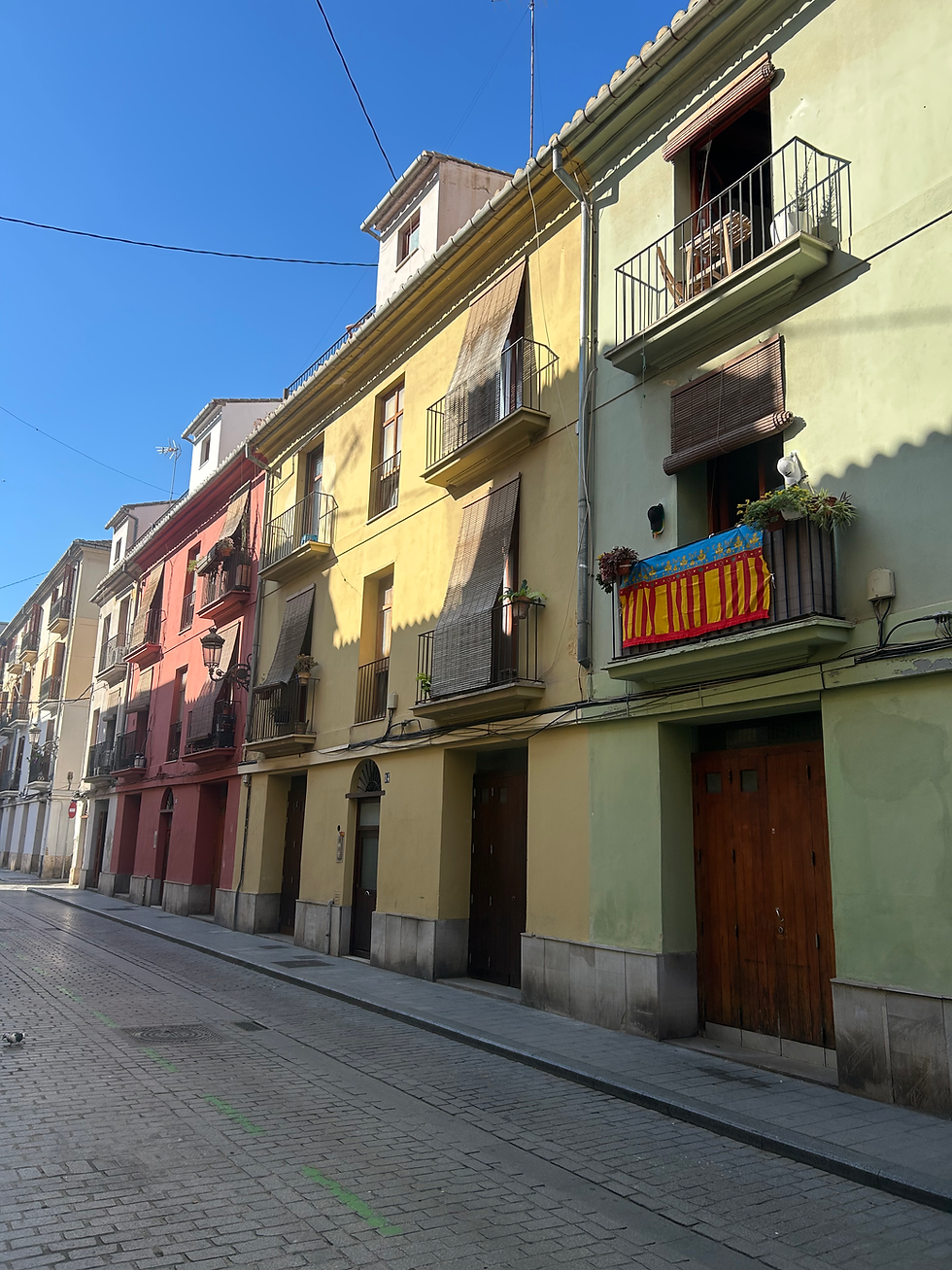 El Carmen Valencia: de meest karaktervolle wijk van de stad