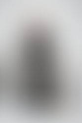 Patricia Dove elected President of the Virginia Academy of Science, Engineering and Medicine