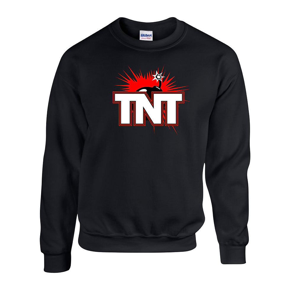 Thumbnail: Kids TNT Logo Sweatshirt