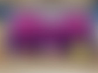 兵庫県西宮市|サイエンスマジックの真骨頂です!|出張サイエンスショーの実施事例