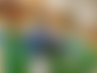 一つ一つのシャボン玉に拍手喝采いただきました!