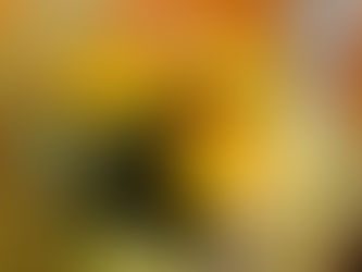 神奈川県南足柄市の小学校でサイエンスショー|PTA主催イベント