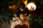 DSC08939 DPP.jpg