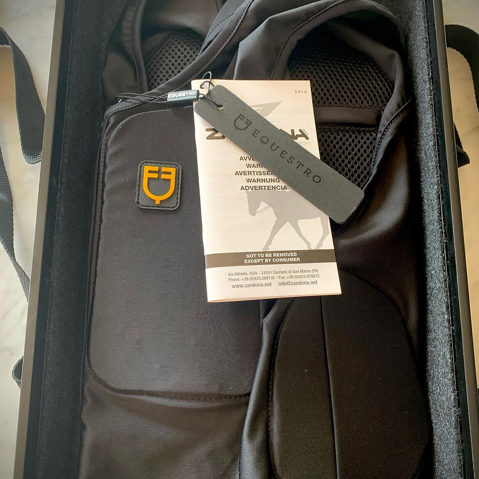 Thumbnail: Safety First Vest Protection Case