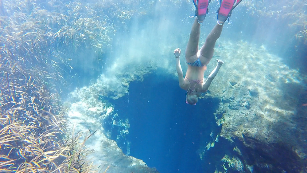 Top 5 Florida Springs for Snorkeling