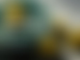 The Society of Women Artists 165th Annual Open Exhibition 23 June to 27 June