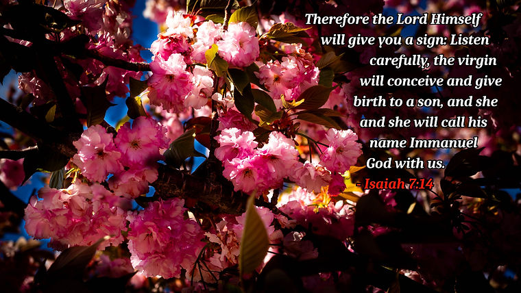Isaiah 7-14 2.jpg