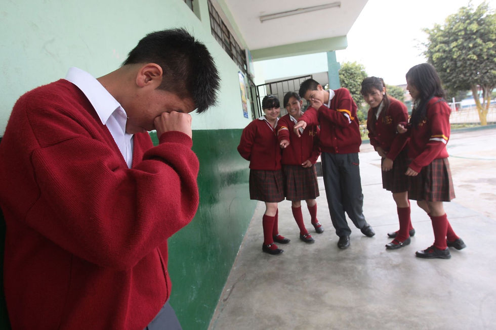 NO SE TOMAN EN CUENTA LAS MEDIDAS EDUCACIONALES ANTE EL BULLYING