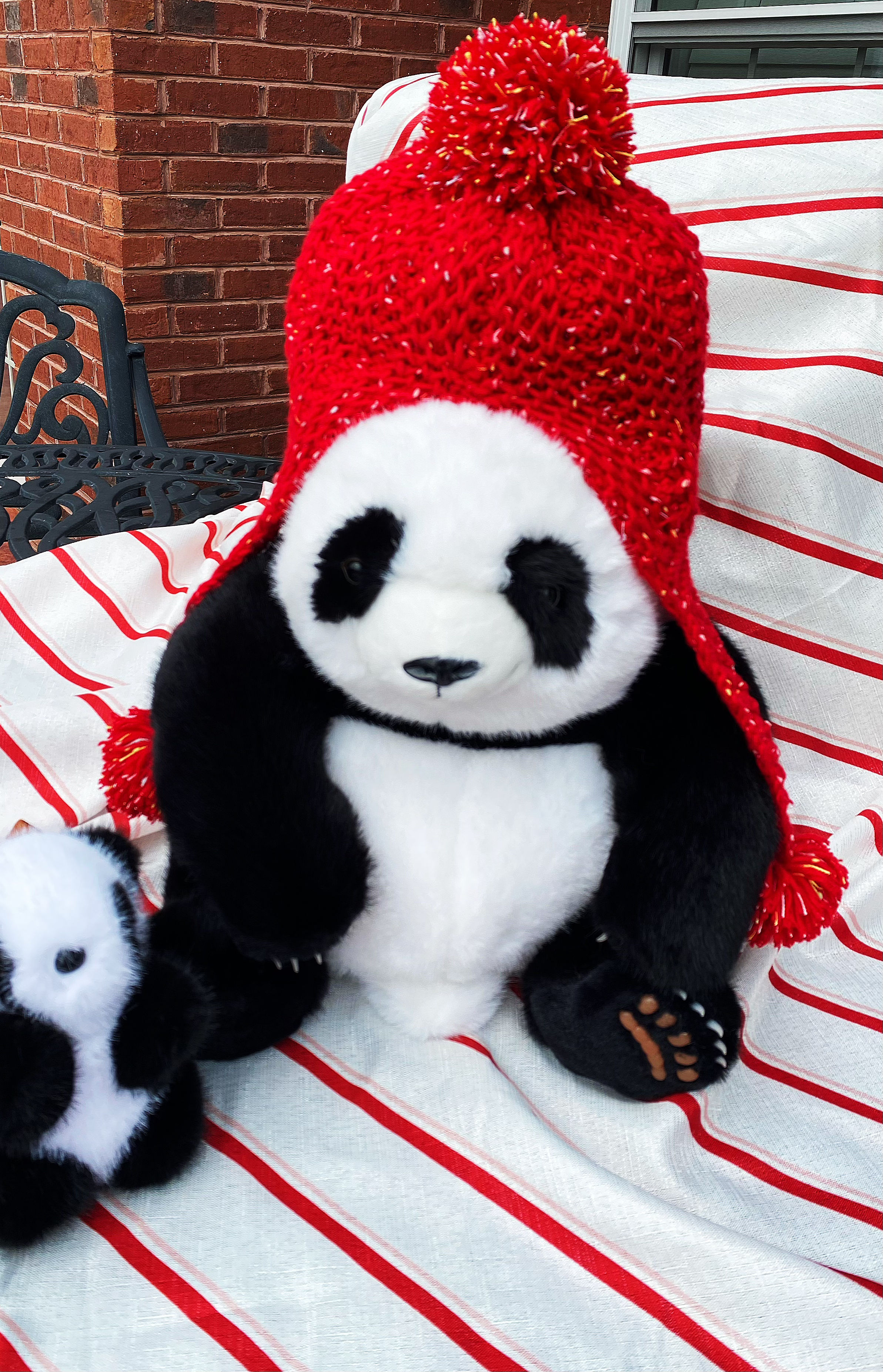 tay warm and stylish with our eye-catching red knitted hat!