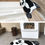 Thumbnail: Panda Area Rug in Living Room