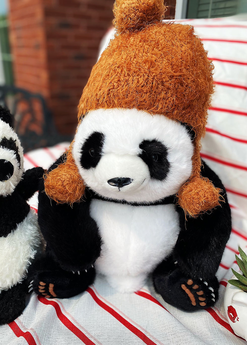 Thumbnail: How adorable is this handmade hat on our little panda friend? 🥰 Imagine it keeping you warm and stylish!