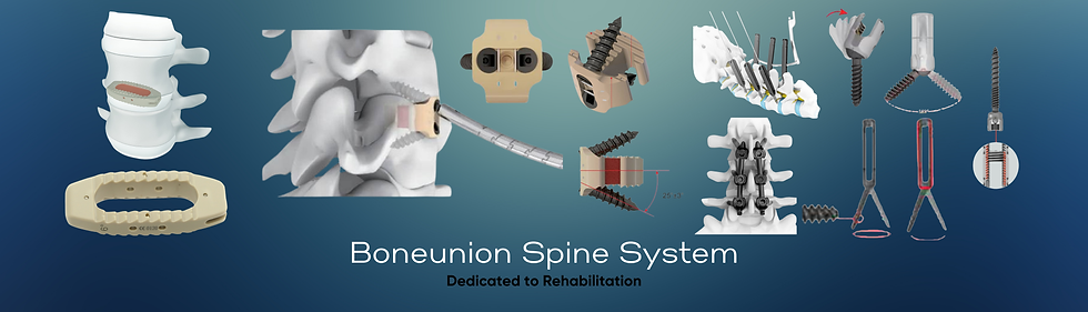 Spine.png