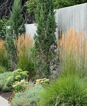 Ornamental Grasses.png