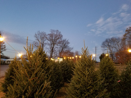 Christmastime at the Nursery