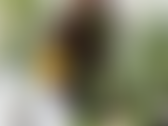 Transform a Room into an Indoor Jungle