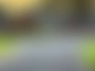 When Amending Your Soil Would be Beneficial