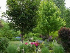 12 Plants that Really Beat the Heat