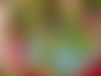 Fresh Succulent Arrangements Made Right Here and Their Care