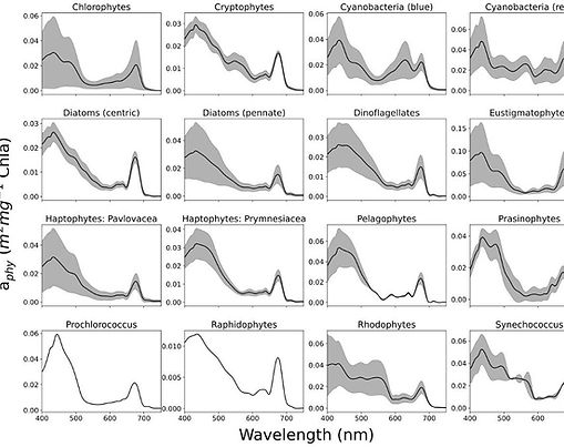 Distributed Equivalent Algal Populations (DEAP) model