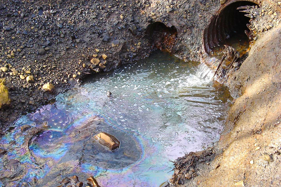Featured Story: Stormwater Runoff