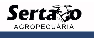 WhatsApp Image 2025-05-20 at 19.31.11.jpeg