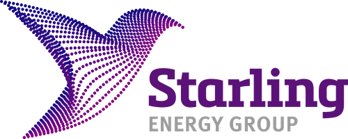 Starling.webp