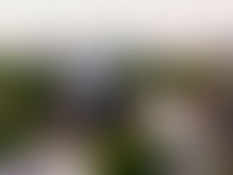 Absorbing 2025: Habitat Leaders Share Insights on What’s Next for Multifamily