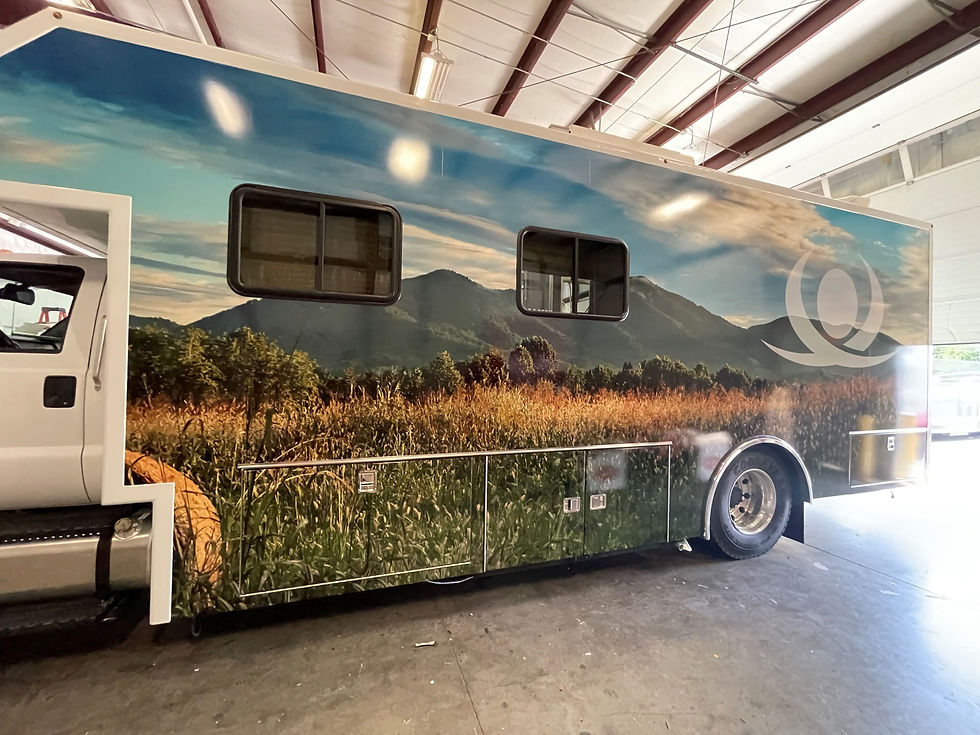 Photo May 30 2023, 3 40 33 PM