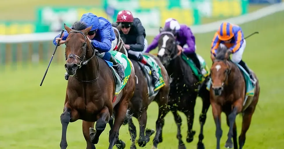 3_Newmarket-Races.webp