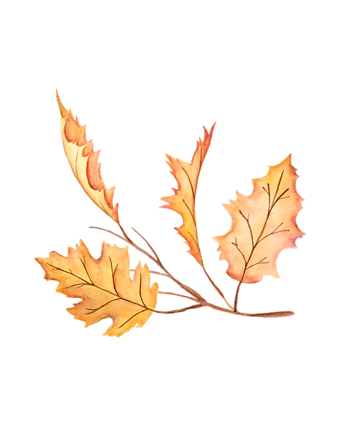 Wynter Rose_edited.png